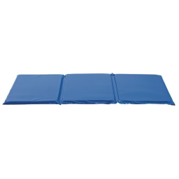 MyPerfectClassroom™ 1 Germ-Free Two-Tone Blue Rest Mat